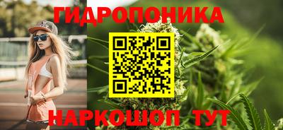 стаф Новозыбков