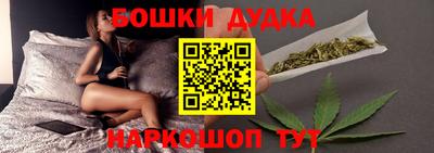 МДПВ Новодвинск