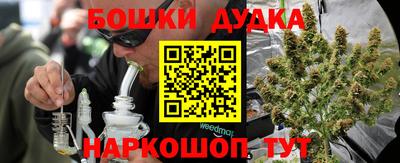 стаф Новозыбков