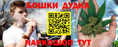 стаф Новозыбков