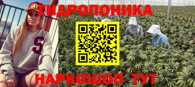 марки nbome Новокубанск