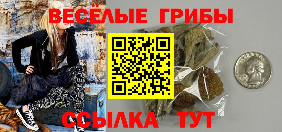Галлюциногенные грибы Magic Shrooms Советская Гавань