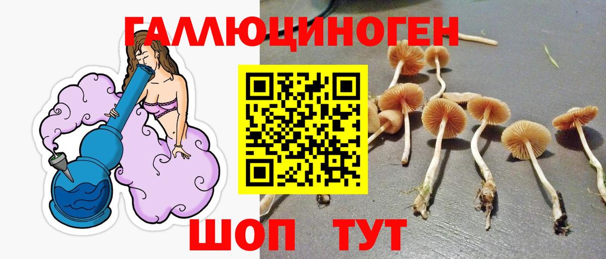 Амфетамин Советская Гавань